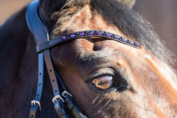 KANTRIE Stirnband Sparkle